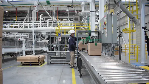 Planta productiva